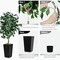 5ft Artificial Ficus Tree – Faux Indoor Plant with White Tall Planter for Home & Office Decor